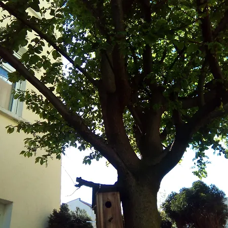 Markgraf Hotel